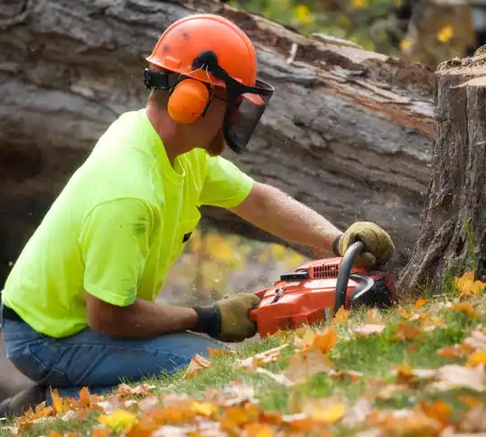 tree services Union Beach